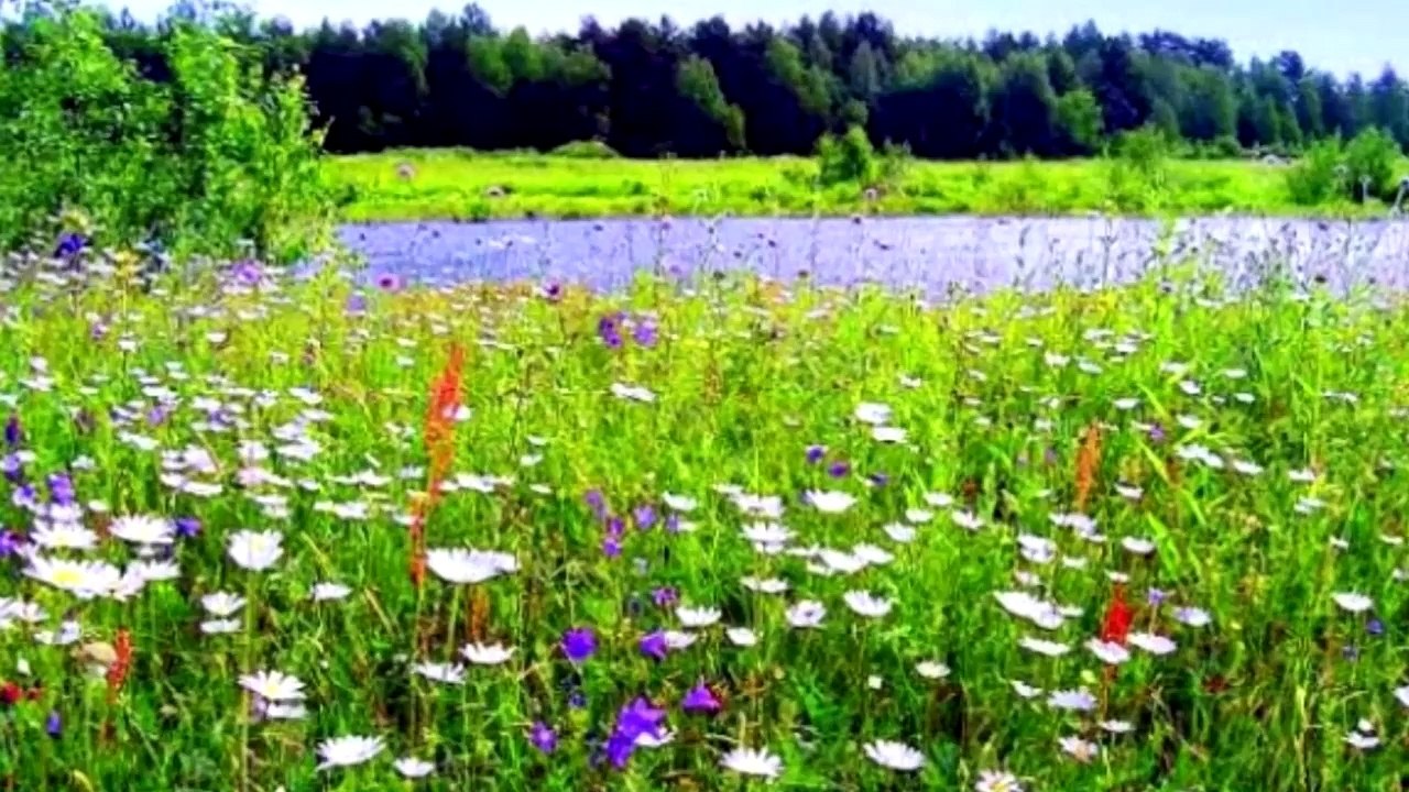 Динаталей - Отпусти меня родная