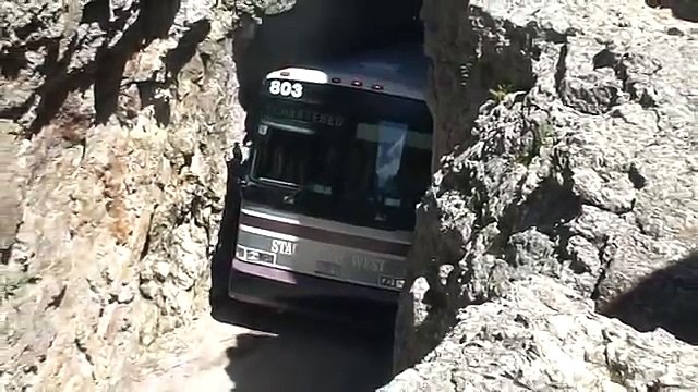 Questo Autista Di Pullman Merita Una Medaglia: Guardate Cosa Ha Fatto... Incredibile!