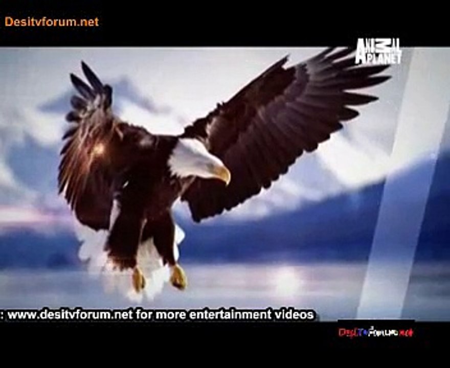 The Wild Ones 7th August 2014 Video Watch Online