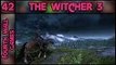 The Witcher 3: Wild Hunt - Part 42: So Many Quests - PC Gameplay Walkthrough - 1080p 60fps
