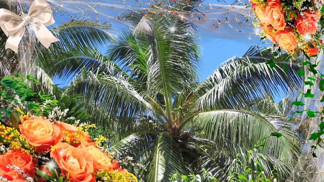 Виктор Королёв Белое платье