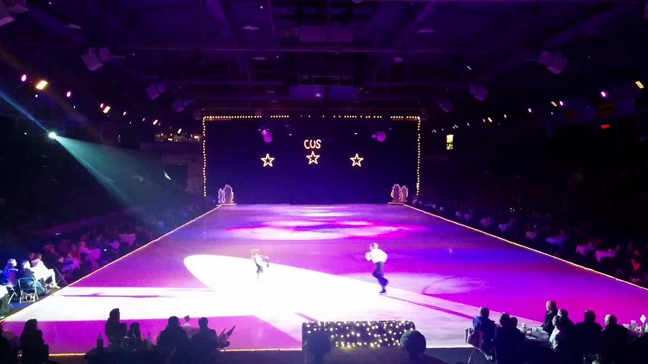 Bruce and Natalie 2016 COS Ice Show (lq)