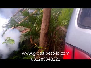 081289348221, Jasa Fogging Nyamuk di Bekasi