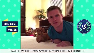 Best Vines of February 2016 Vine Compilation | Part 1