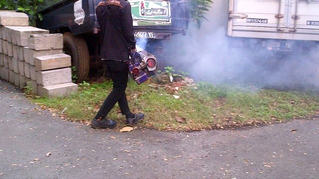 08176795221, Jasa fogging nyamuk di Jakarta Timur | Pest Control Jakarta