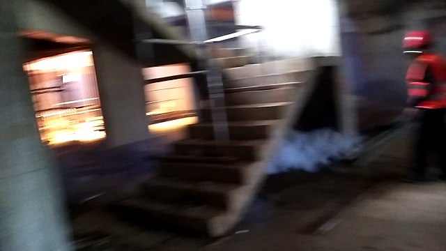 08176795221, Jasa Fogging Nyamuk di Bekasi | Pest Control Bekasi