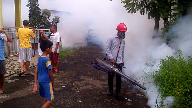 08176795221, Jasa Fogging Nyamuk di Solo | Pest Control Solo