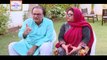 Bulbulay Episode 398 on Ary Digital - 8th May 2016