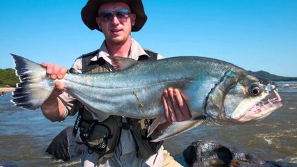 10 Frightening Creatures of The Amazon River