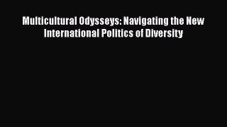 [Read book] Multicultural Odysseys: Navigating the New International Politics of Diversity