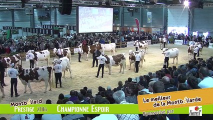 Championne Espoir Montbeliarde Prestige 2016
