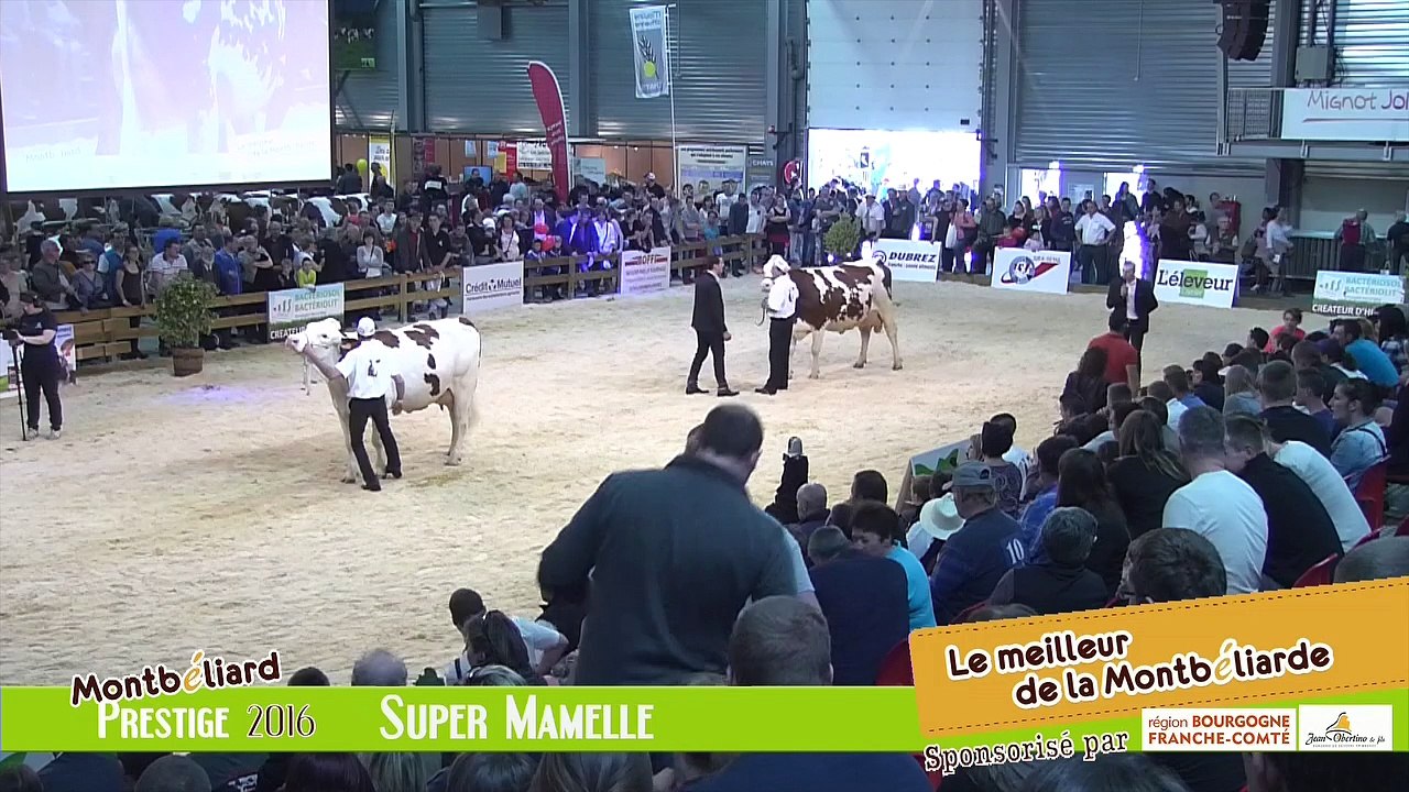 Super Mamelle Montbeliarde Prestige 2016