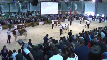 Grande Championne Montbeliarde Prestige 2016