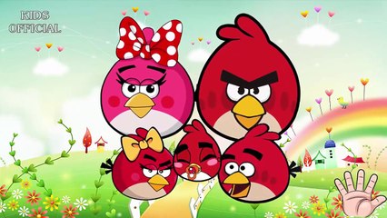 Angry Birds Cartoon Animation Finger Family Nursery Rhymes For Kids | Finger Family Nurser