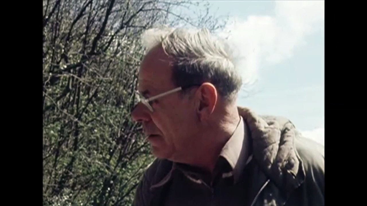 Was it barking mad to vote for a fringe party back in 1979? BBC News