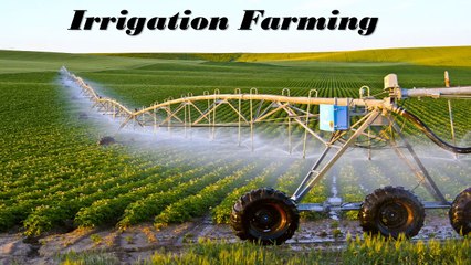 Caroline Plouff - Agriculture Manager at Bettendorf's