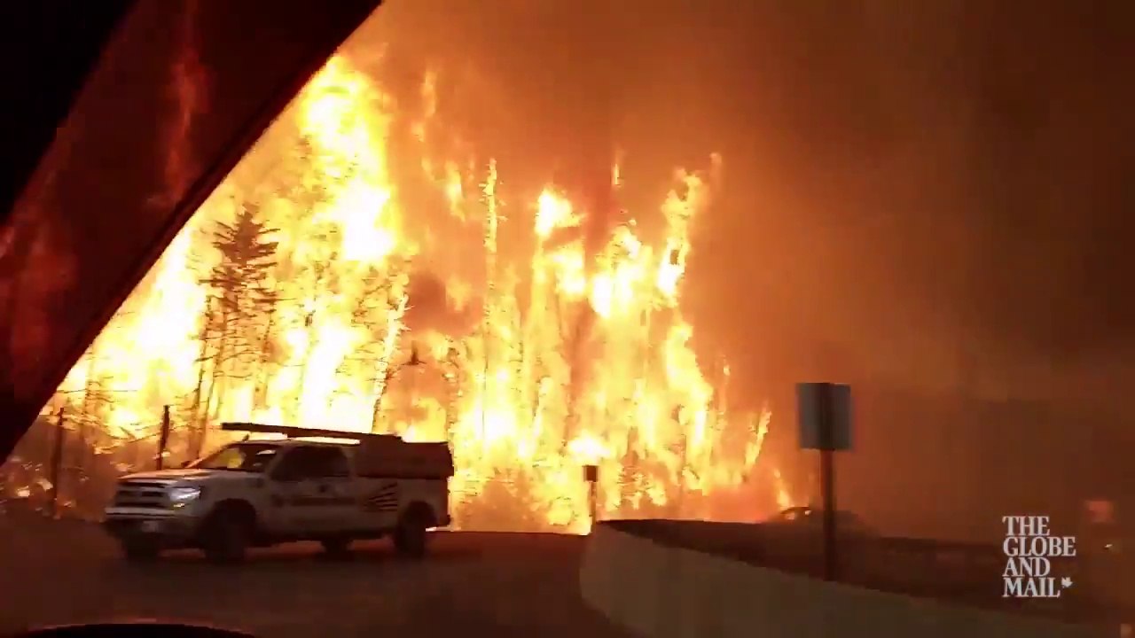 Des arbres de 20m de haut en flammes au Canada le long de la route