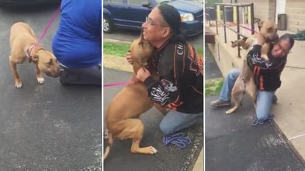 Il retrouve son chien après 2 ans de séparation...