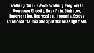 [Read Book] Walking Cure: 9 Week Walking Program to Overcome Obesity Back Pain Diabetes Hypertension