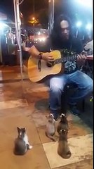 Suona una canzone e qualcuno di inaspettato arriva ad ascoltarlo.