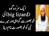 A Story of Dead Lizerd Maulana Tariq Jameel Special Bayyan 2016