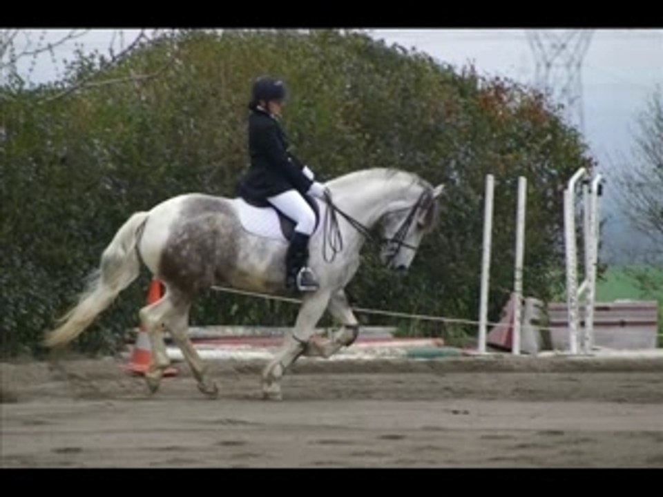 Looping et moi en dress
