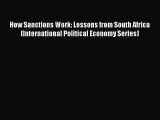 [Read book] How Sanctions Work: Lessons from South Africa (International Political Economy