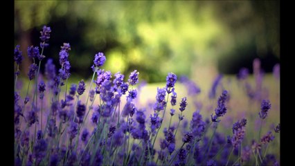 Surah Yunus سُوۡرَةُ یُونس Tartil Quran Minshawi real voice. not changed.