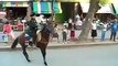 Haha Do Not Ride The Horse Latest Funny Videos 2016