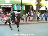 Haha Do Not Ride The Horse Latest Funny Videos 2016