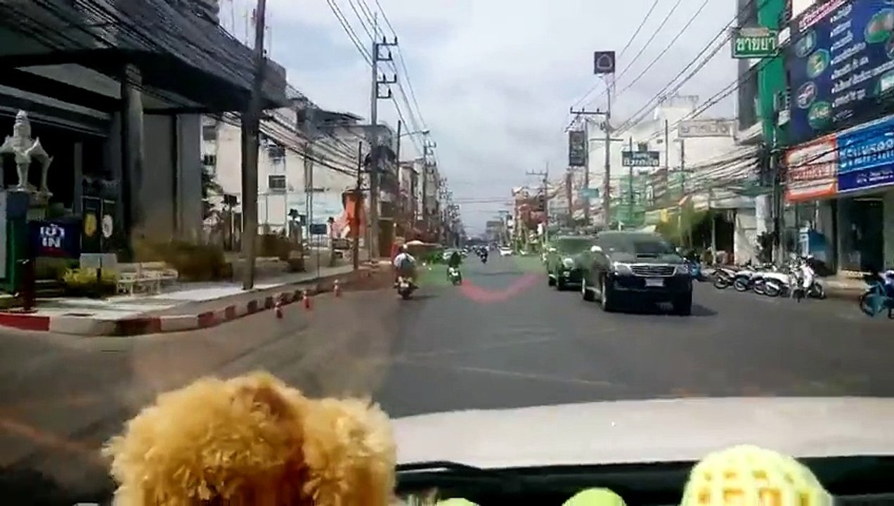 Un homme fait une petite sièste en conduisant son scooter