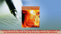 PDF  Compre Oro y Plata y Proteja Su Futuro El Colapso De La Economia Mundial Se Acerca Read Online