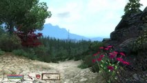 Gameplay de THE ELDER SCROLLS IV Oblivion