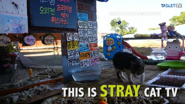 160519-402-019_UTULKOVO_20160509