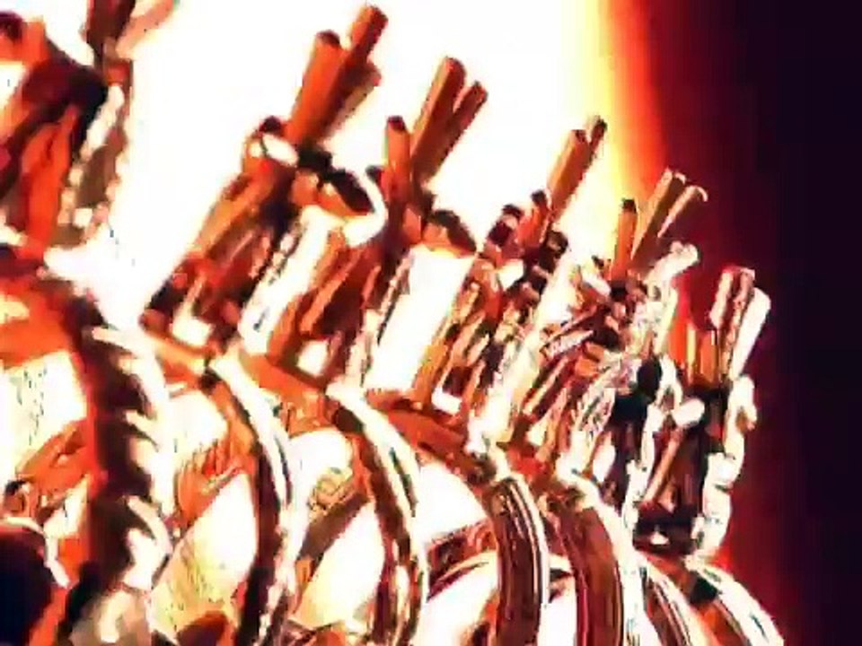 Burning For Revenge - Trailer