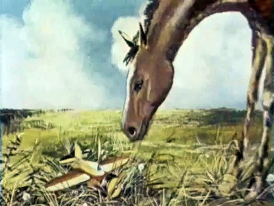 Мультики: Самолётик.