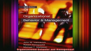 new book  Organizational Behavior and Management
