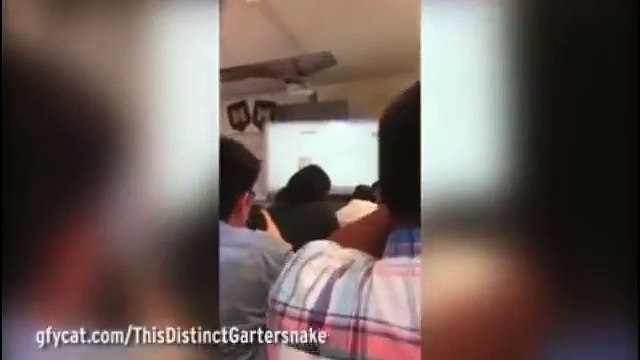 Embarrassing moment teacher 'forgets to turn off projector while browsing for li