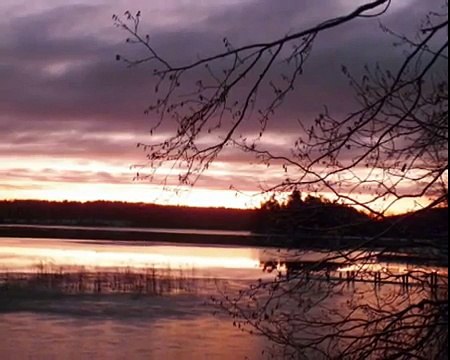 House M.D. Wilson/Amber