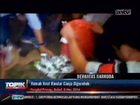 Rumah Kost Bandar Ganja Digerebek, Polisi Sita Puluhan Paket