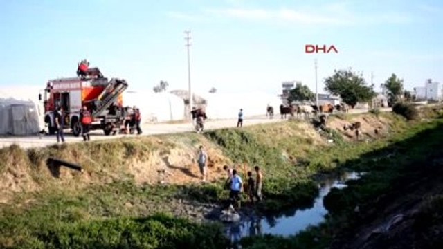 Çamura Saplanan Gebe İneği İtfaiye Kurtardı
