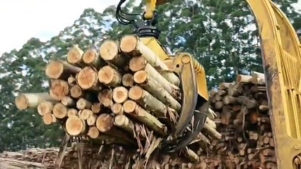 Wheel Log Loader CAT 950H