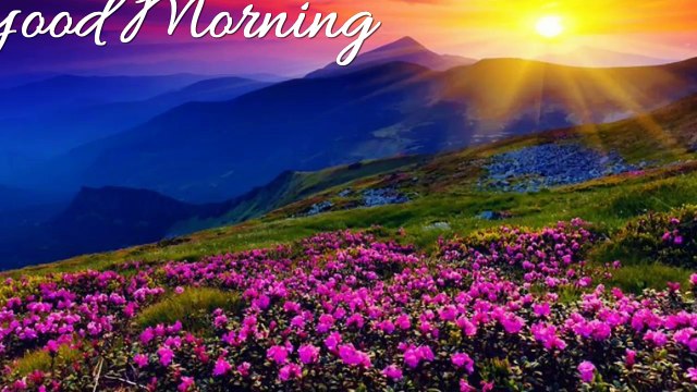Good Morning Wishes,Good Morning Greetings,Wallpapers,E-card,Good Morning Whatsapp video