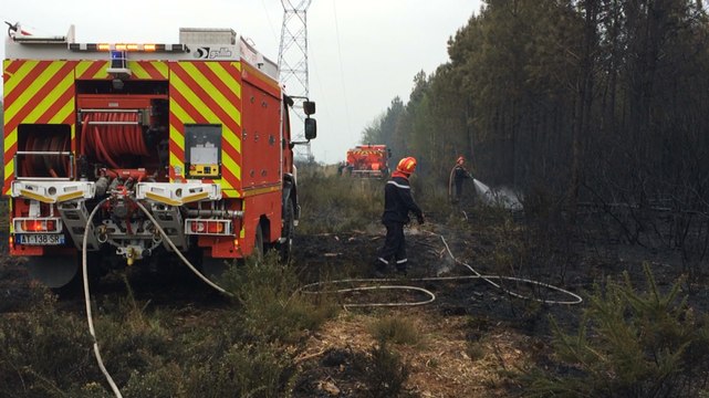 Une centaine d'hectares de forêt brûlés