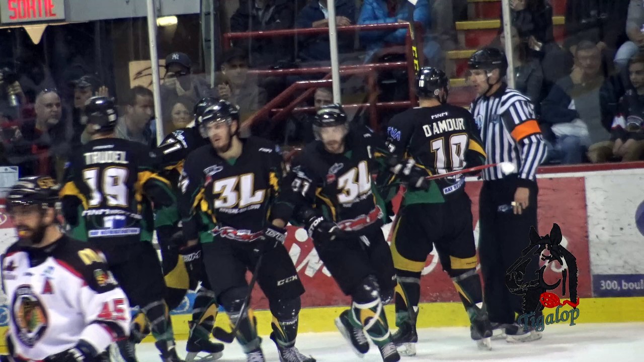 LNAH, buts des  3L pour la coupe Vertdure 2016