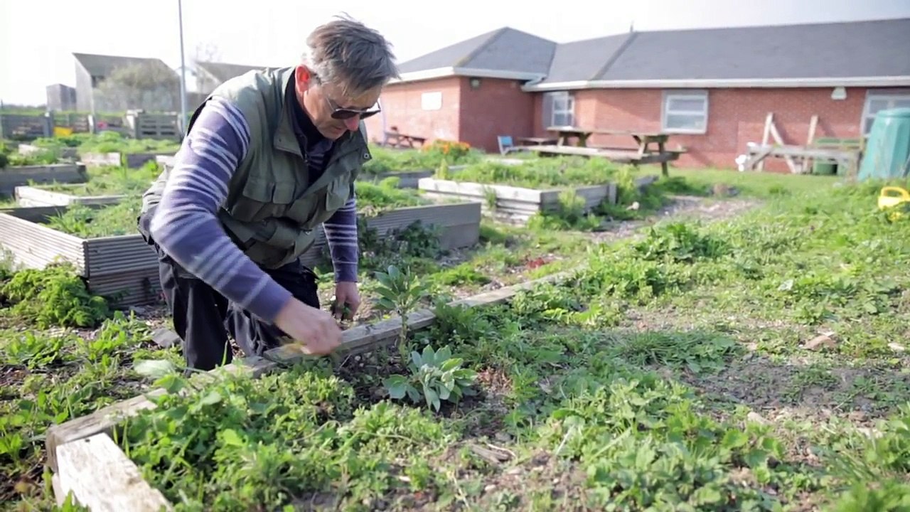 Jaywick: Most deprived place in England (2010) - BBC News