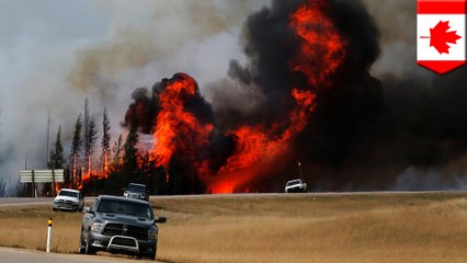 Cooler weather helps slow massive Fort McMurray wildfire