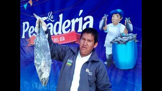 Peru News: 8 tons of fish sold in less than five hours at Cusco fish fair