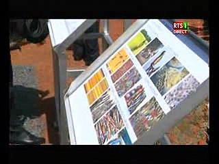 Vidéo- Macky Sall a procédé à la pose de la 1-ère pierre du Palais des sports