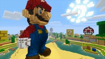 Minecraft_ Wii U Edition - Super Mario Mash Up Pack (Wii U)